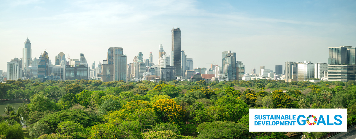 Sustainable development GOALS