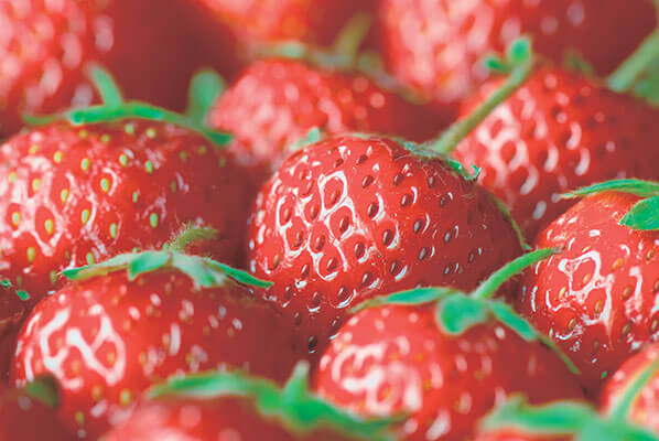 AQUOS Capture Real Beauty - With Real Colour