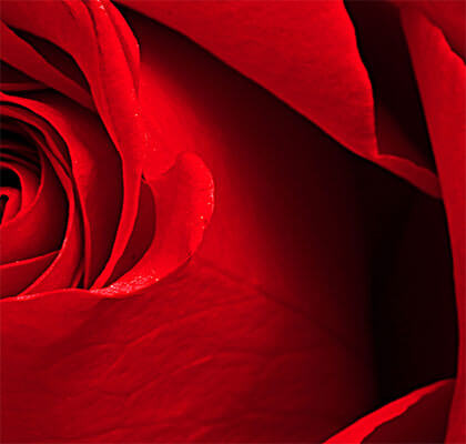 AQUOS Capture Real Beauty - With Tone Optimiser