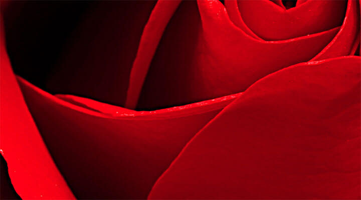 AQUOS Capture Real Beauty - With Tone Optimiser