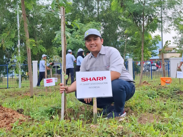 An SSI employee plants a Matoa Phot