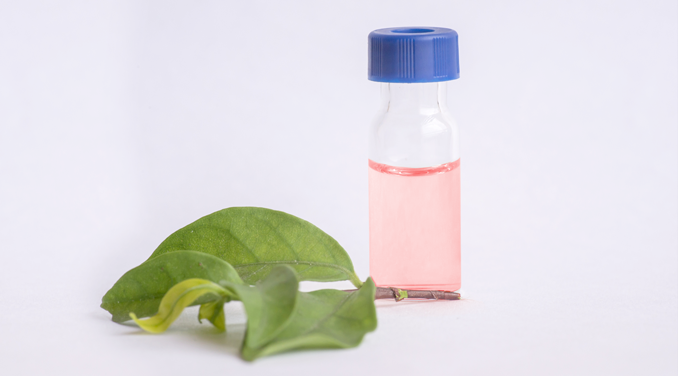 Safety and Security Image