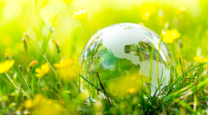 Overview of Environmental Impact Image